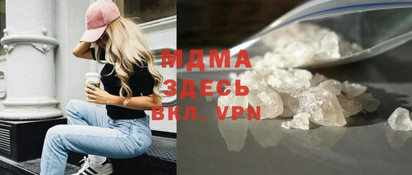индика Долгопрудный