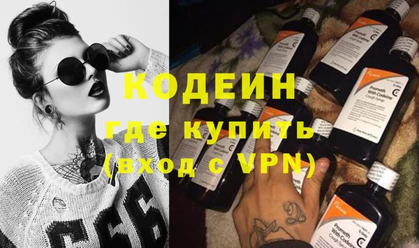 индика Долгопрудный