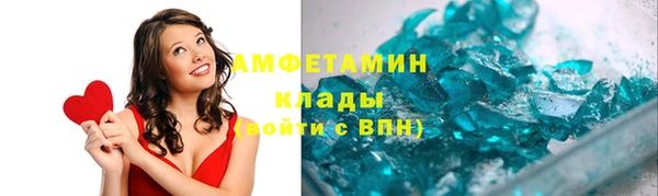 индика Долгопрудный