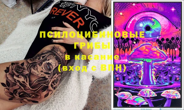 герыч Бердск