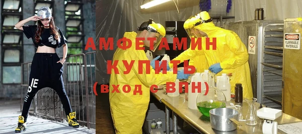 индика Долгопрудный