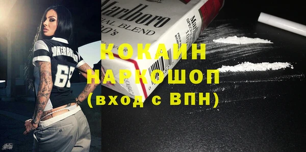 индика Долгопрудный