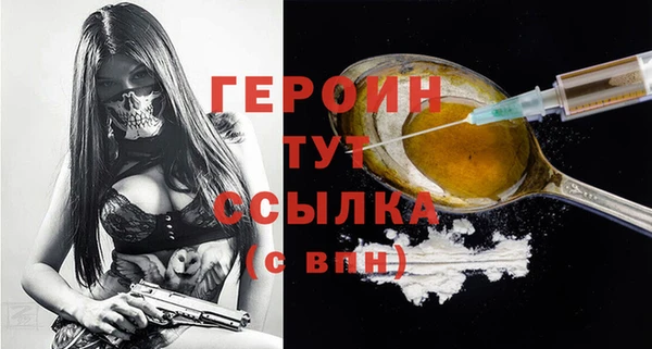 индика Долгопрудный