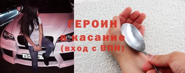 индика Долгопрудный