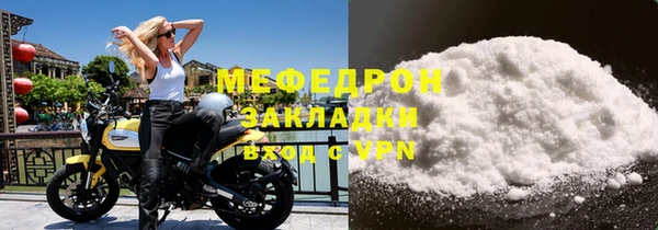 индика Долгопрудный