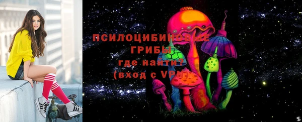 герыч Бердск