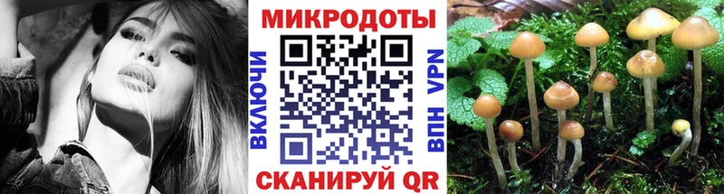 Галлюциногенные грибы прущие грибы Касимов