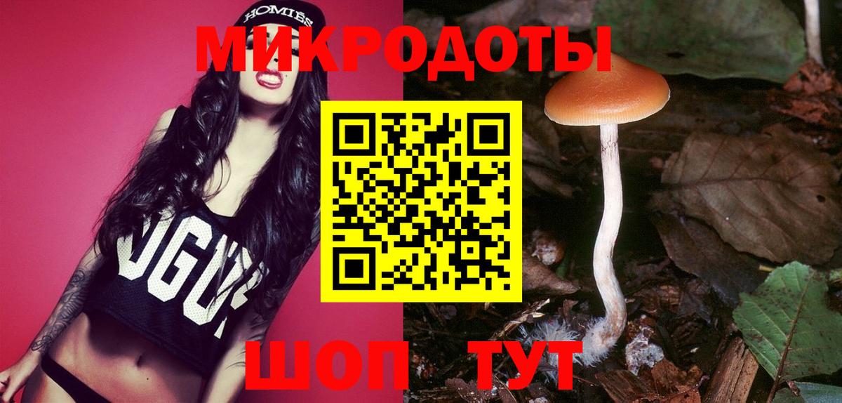 Касимов  Псилоцибиновые грибы ЛСД  Вход с VPN 